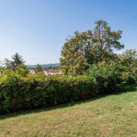Appartamento Le Nichoir De La Colline - Parking & Wifi Obernai Esterno foto